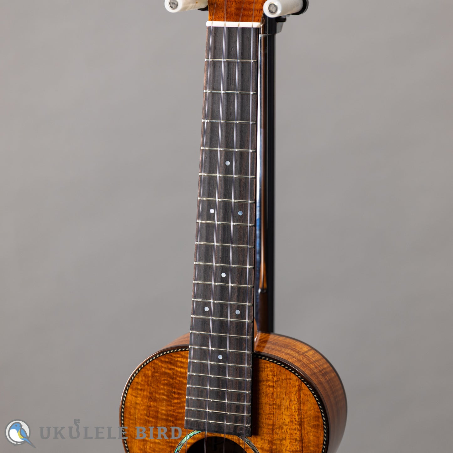 Pono PCK-2