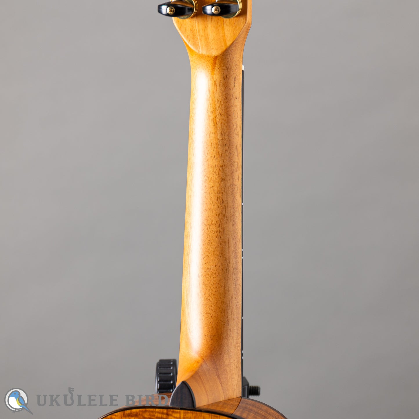 Pono PCK-2