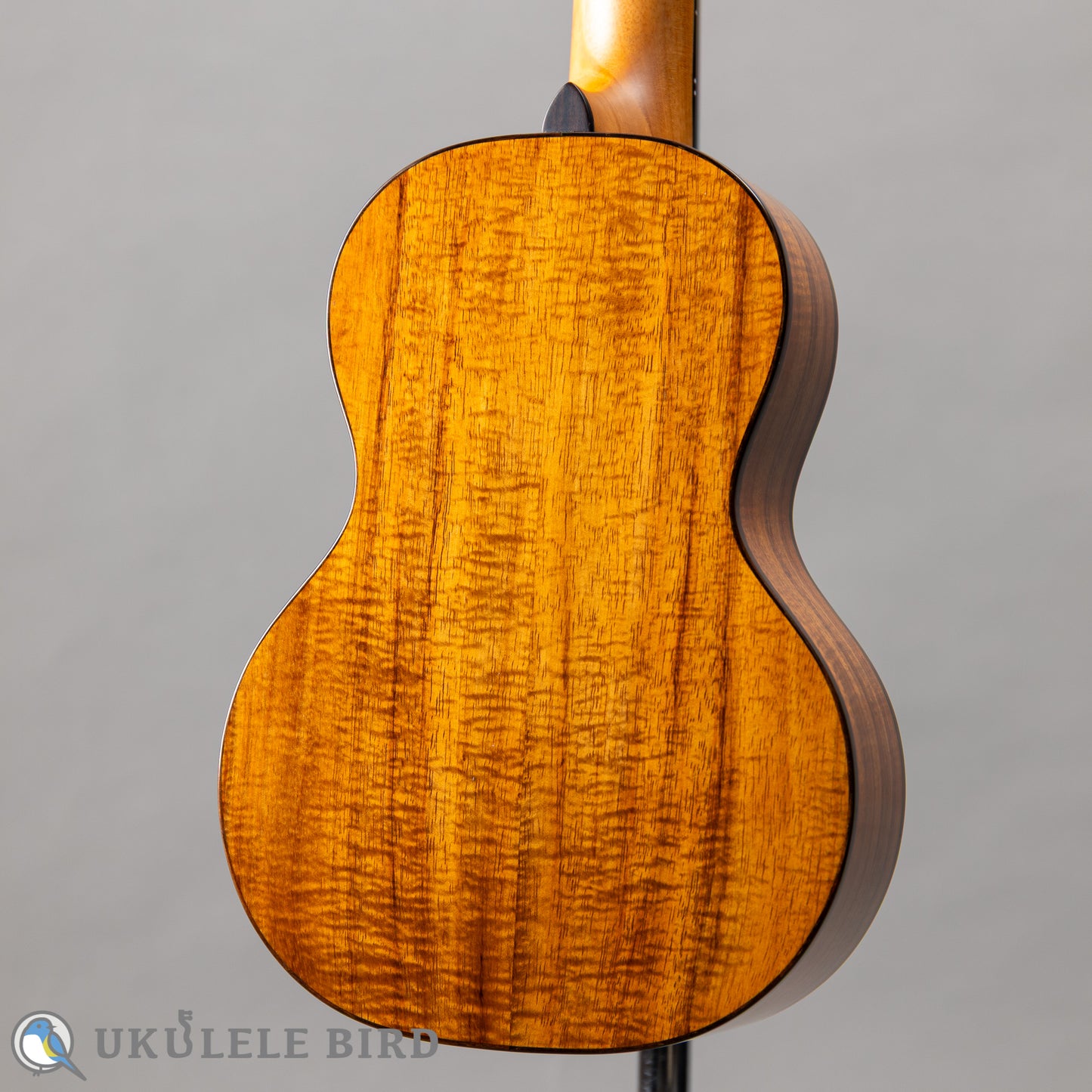 Pono PCK-2