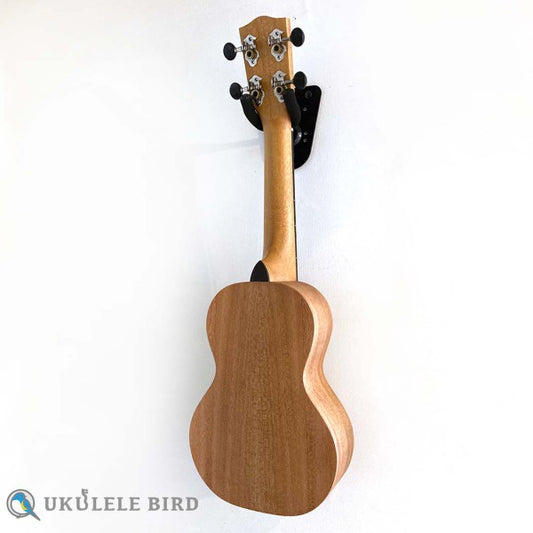 Pono MS Soprano