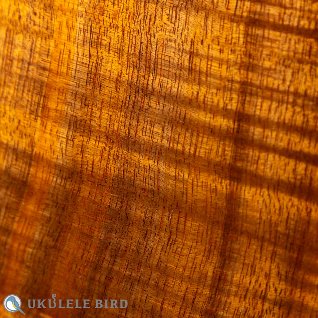 ASTURIAS Solo Ukulele Koa