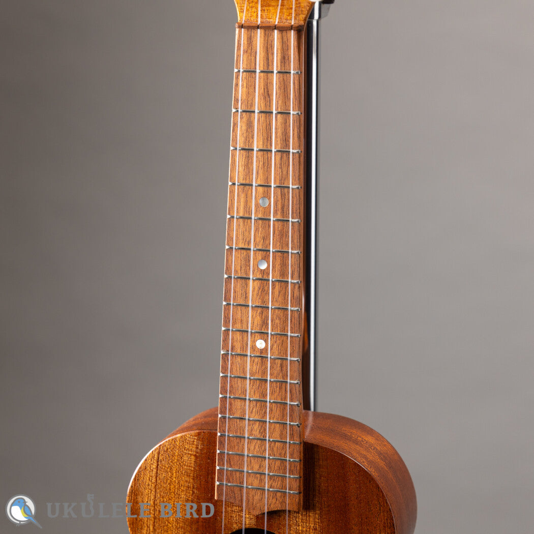 Kelii CB/M Concert