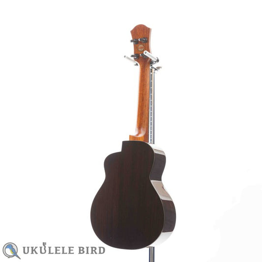 aNueNue aNN-UC200 Concert