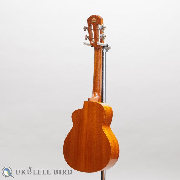 aNueNue aNN-UC100