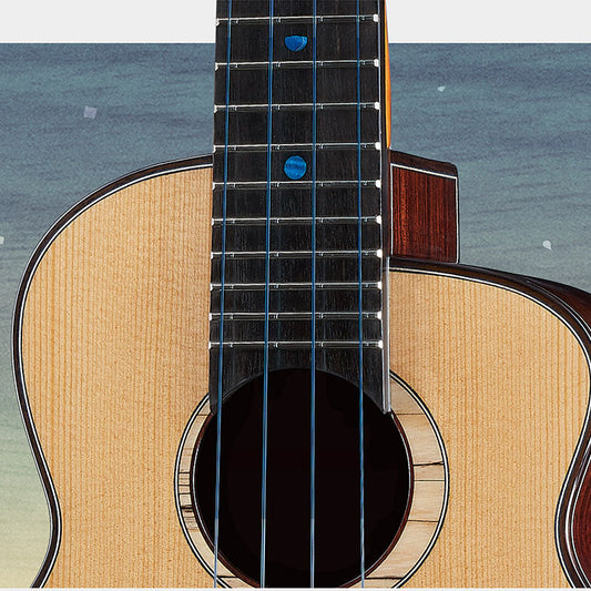 aNueNue Blue Moon String Tenor