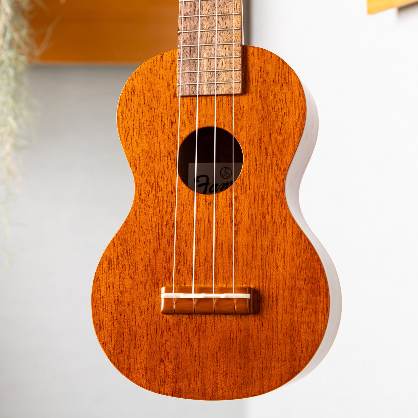 Famous FLS-60