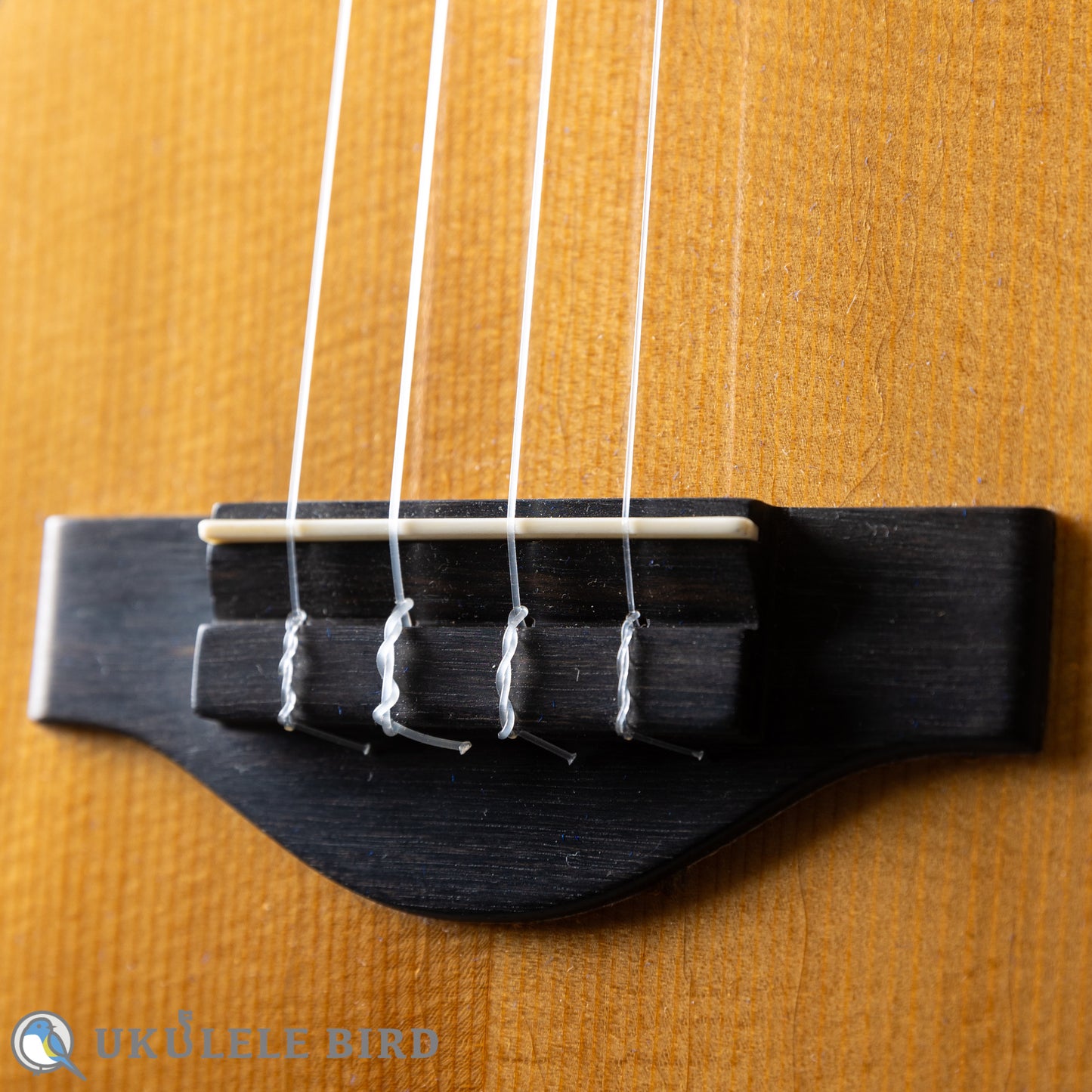 Martin T-28 Conversion Tenor 1974