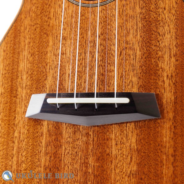 Moodyville Tenor Sapelli Mahogany