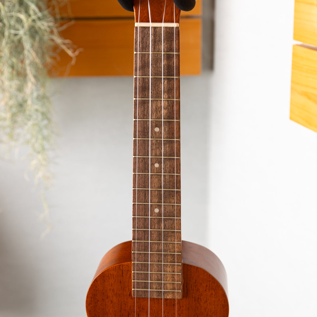 Famous FLS-60