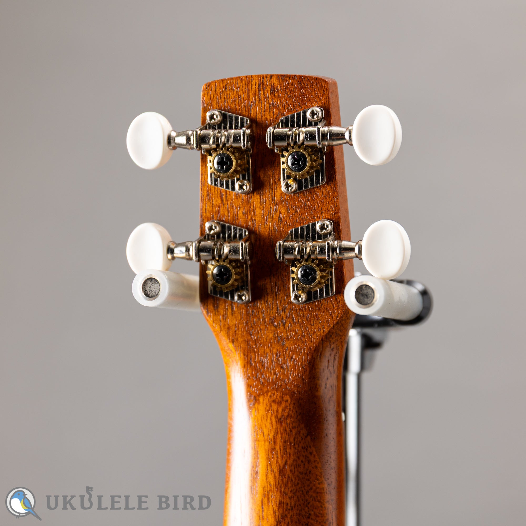 Famous FS-0 – Ukulele Bird （株式会社ラストギター）