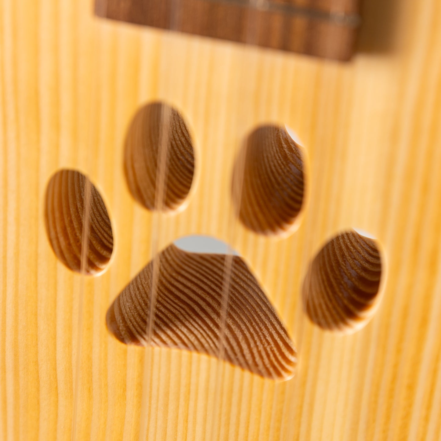 Quiam  eleComCon Soprano