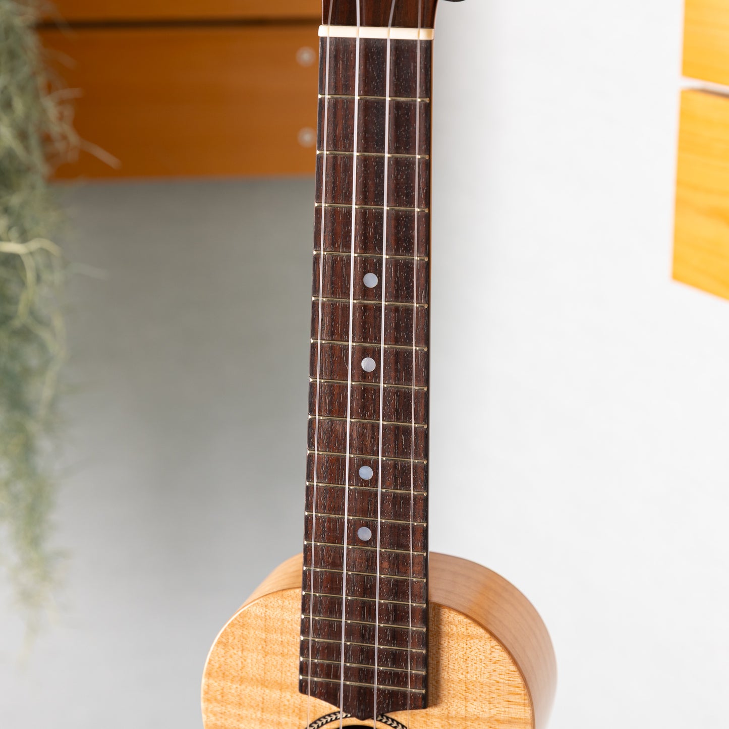 Craft Musica Hanako Soprano Maple