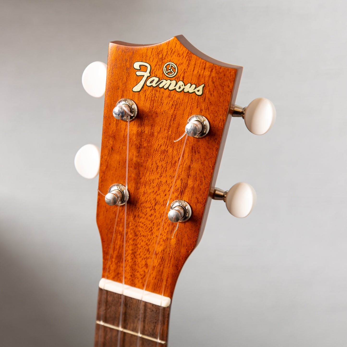 Famous FLS-60