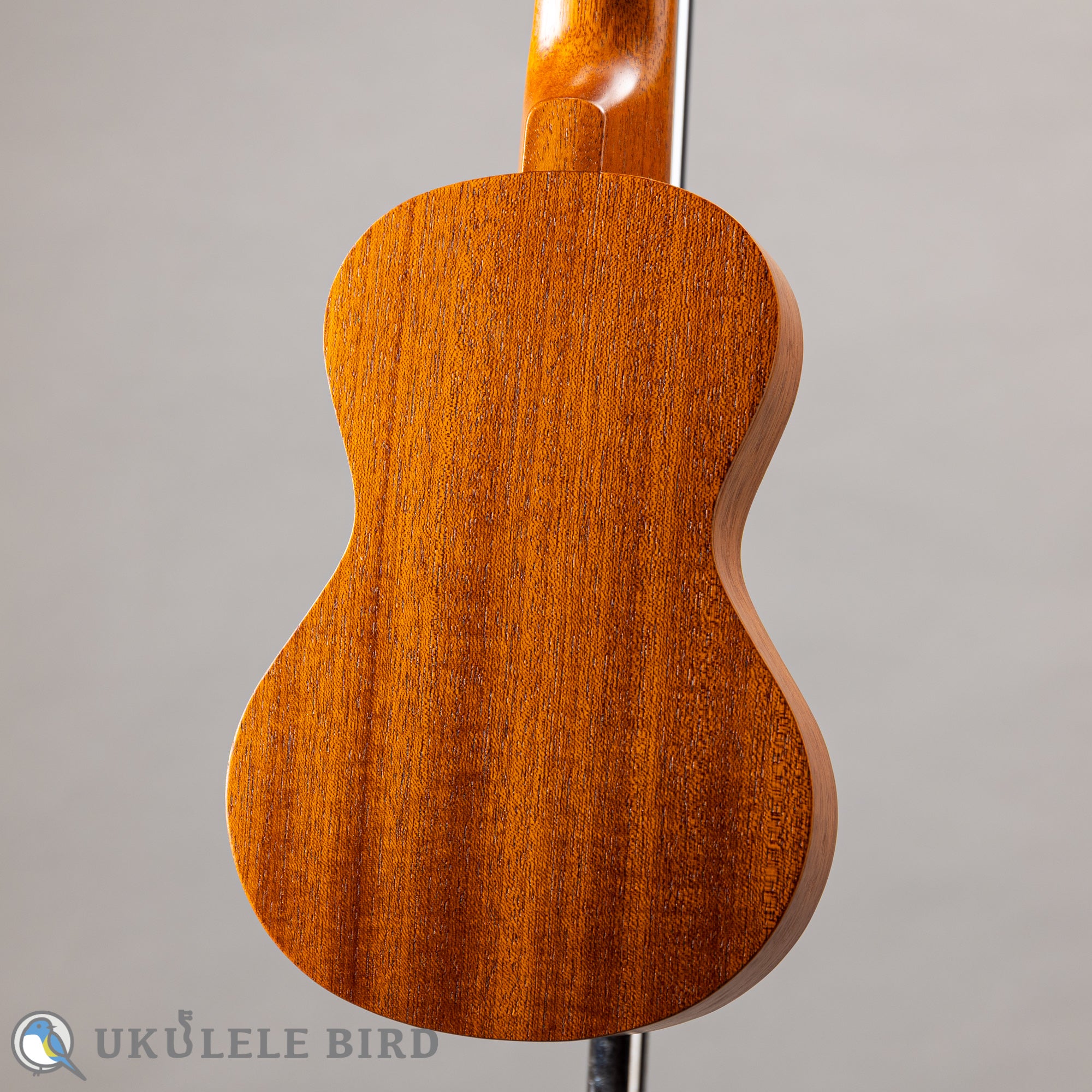 Famous FS-0 – Ukulele Bird （株式会社ラストギター）