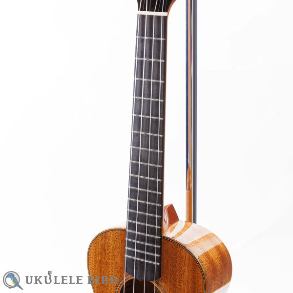 Moodyville Tenor Sapelli Mahogany