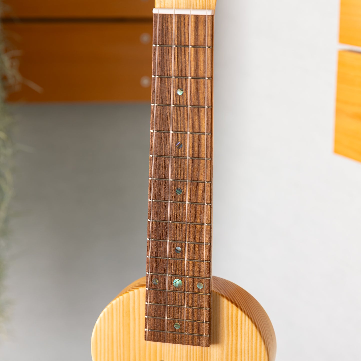 Quiam  eleComCon Soprano