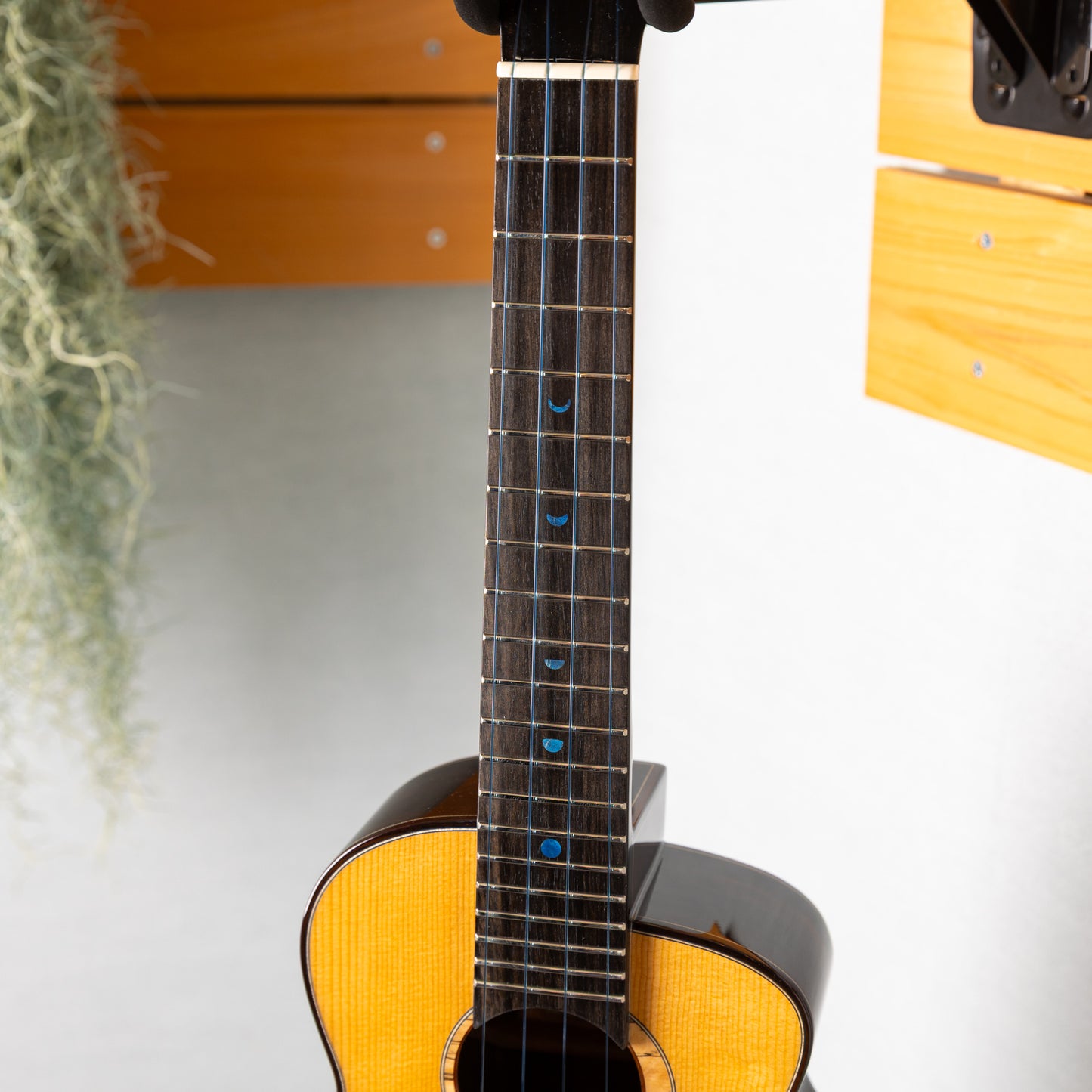 aNueNue aNN-UC330
