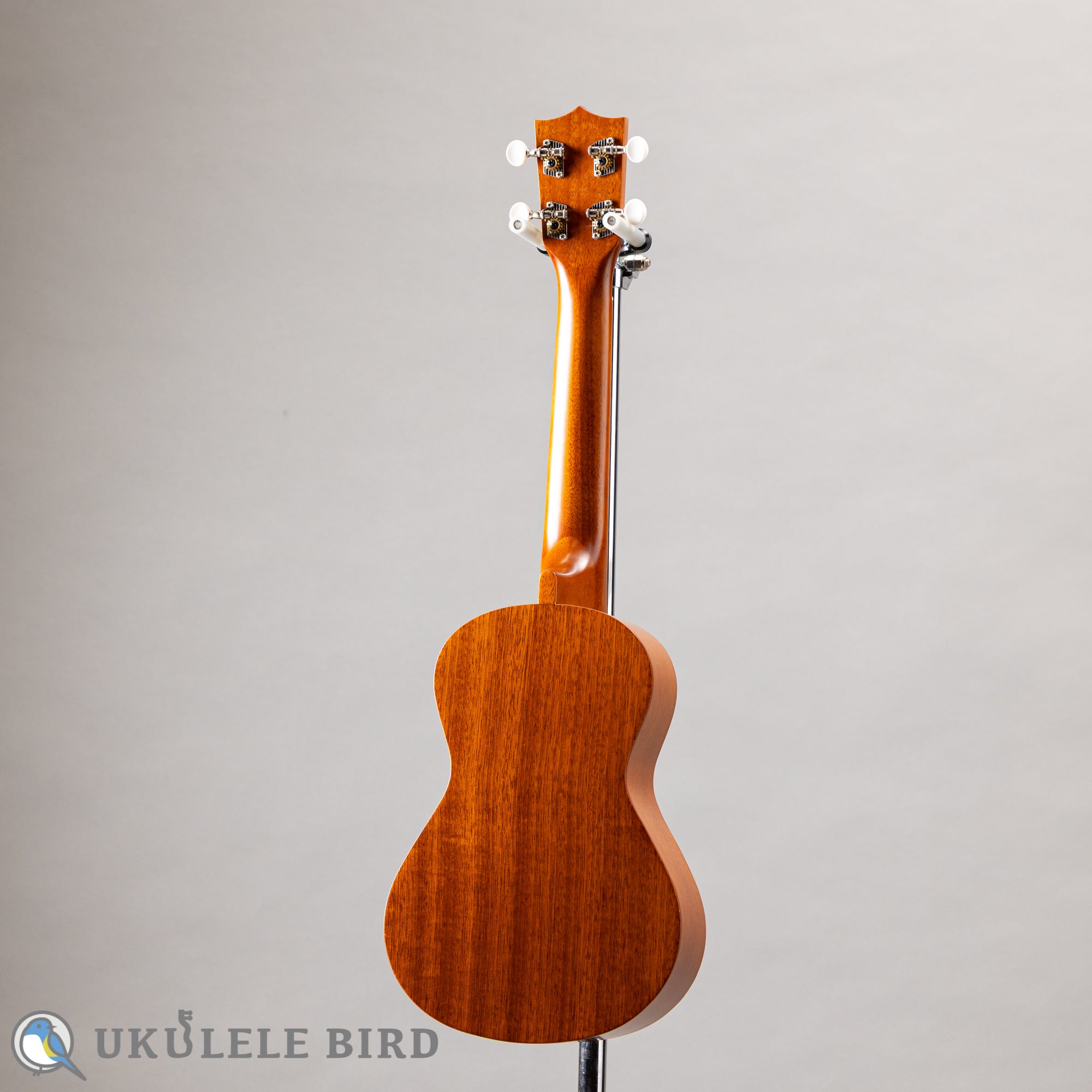 Famous FC-1G – Ukulele Bird （株式会社ラストギター）