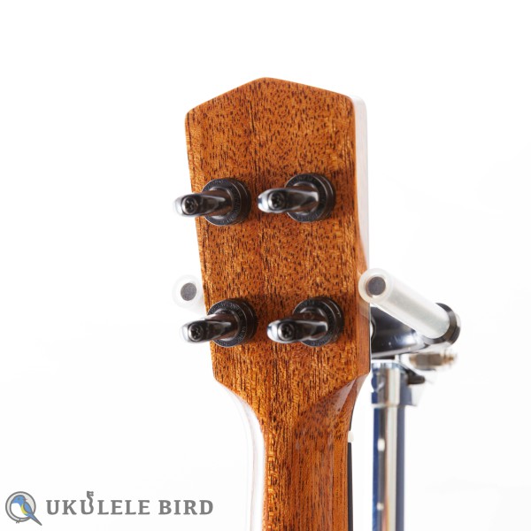 Moodyville Tenor Sapelli Mahogany