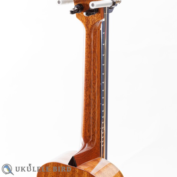 Moodyville Tenor Sapelli Mahogany