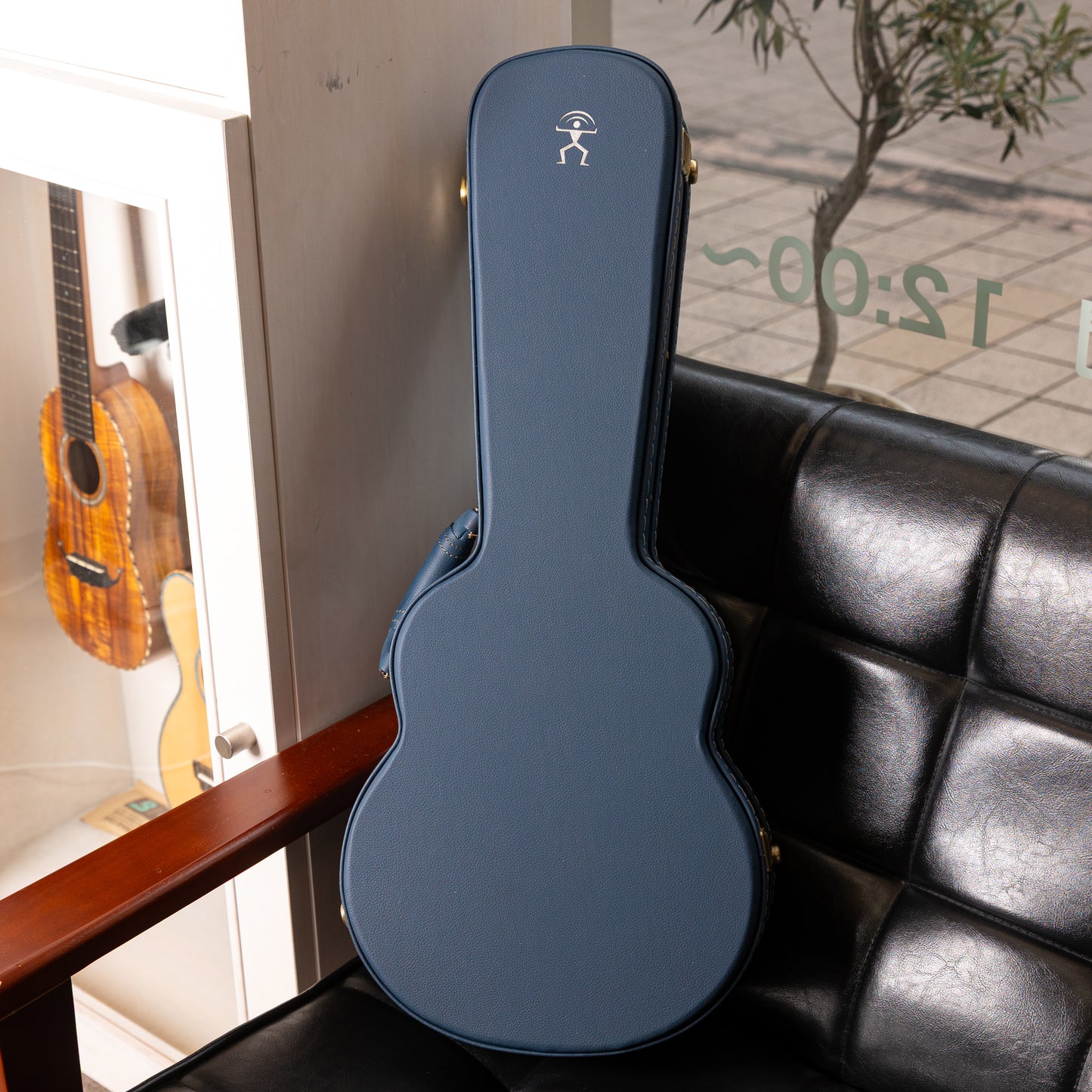 aNueNue aNN-UC330