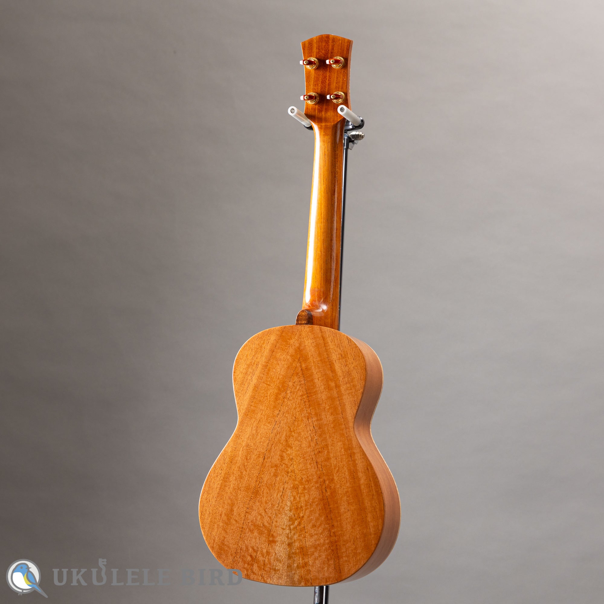 Koichitani Ukkulele Tenor Hawaiian Mahogany – Ukulele Bird （株式