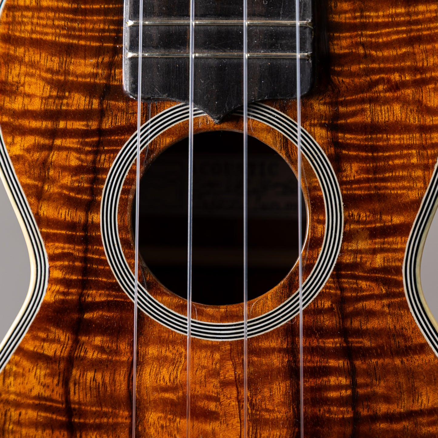 Acoustic World Style3K Soprano Longneck