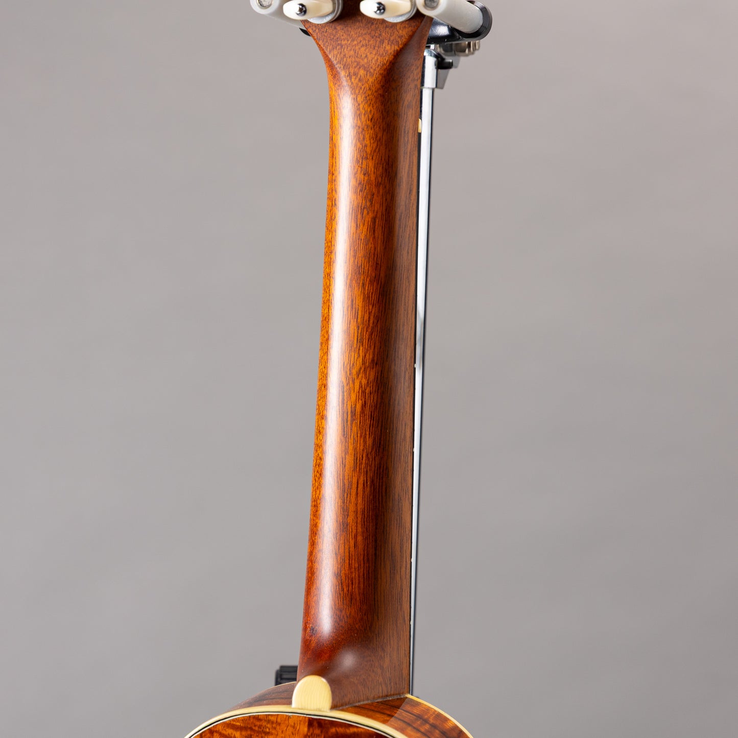 Acoustic World Style3K Soprano Longneck