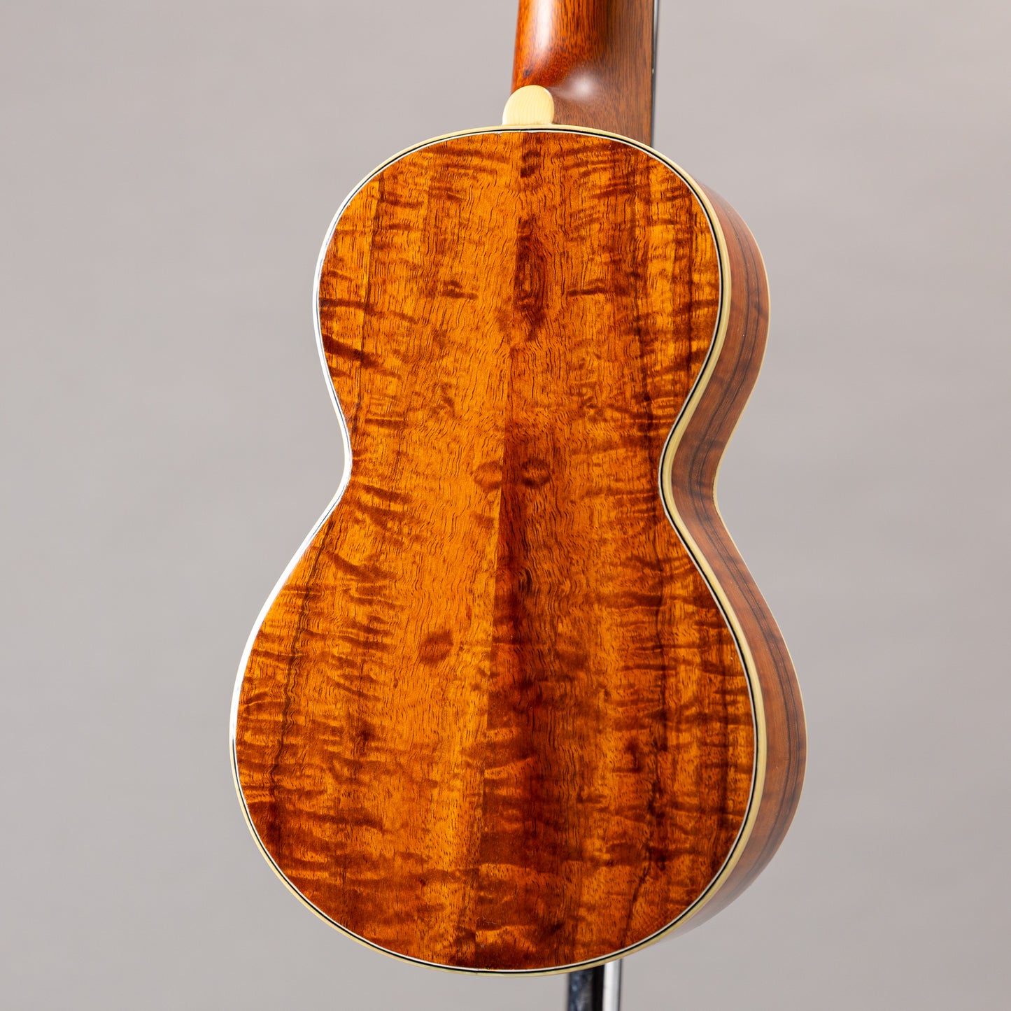 Acoustic World Style3K Soprano Longneck