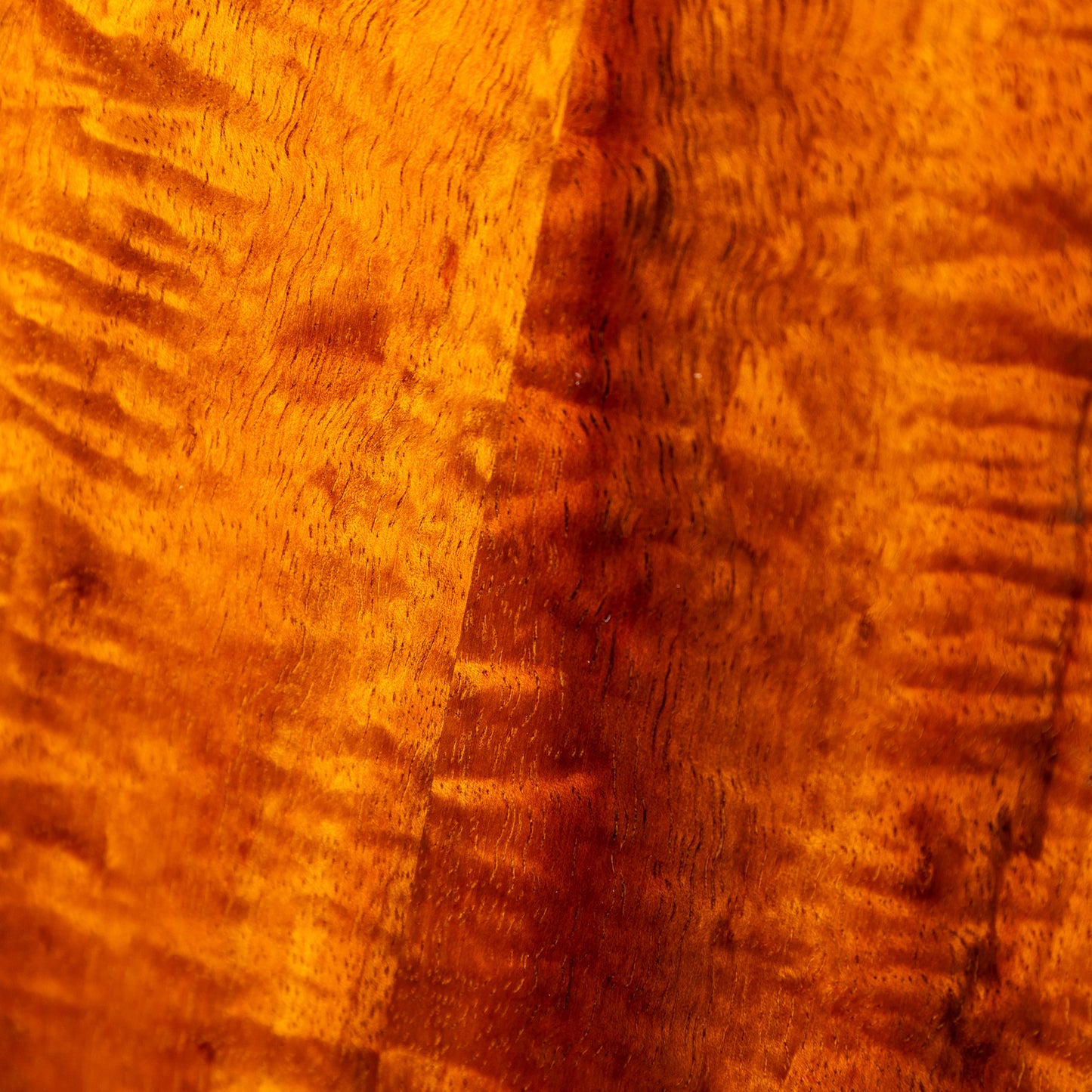 Acoustic World Style3K Soprano Longneck