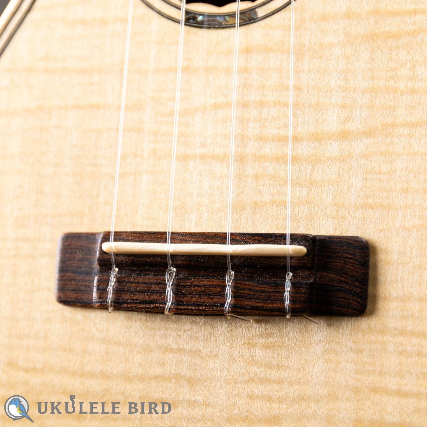 Antar Soprano Longneck Sycamore/Hawaiian Koa 2024