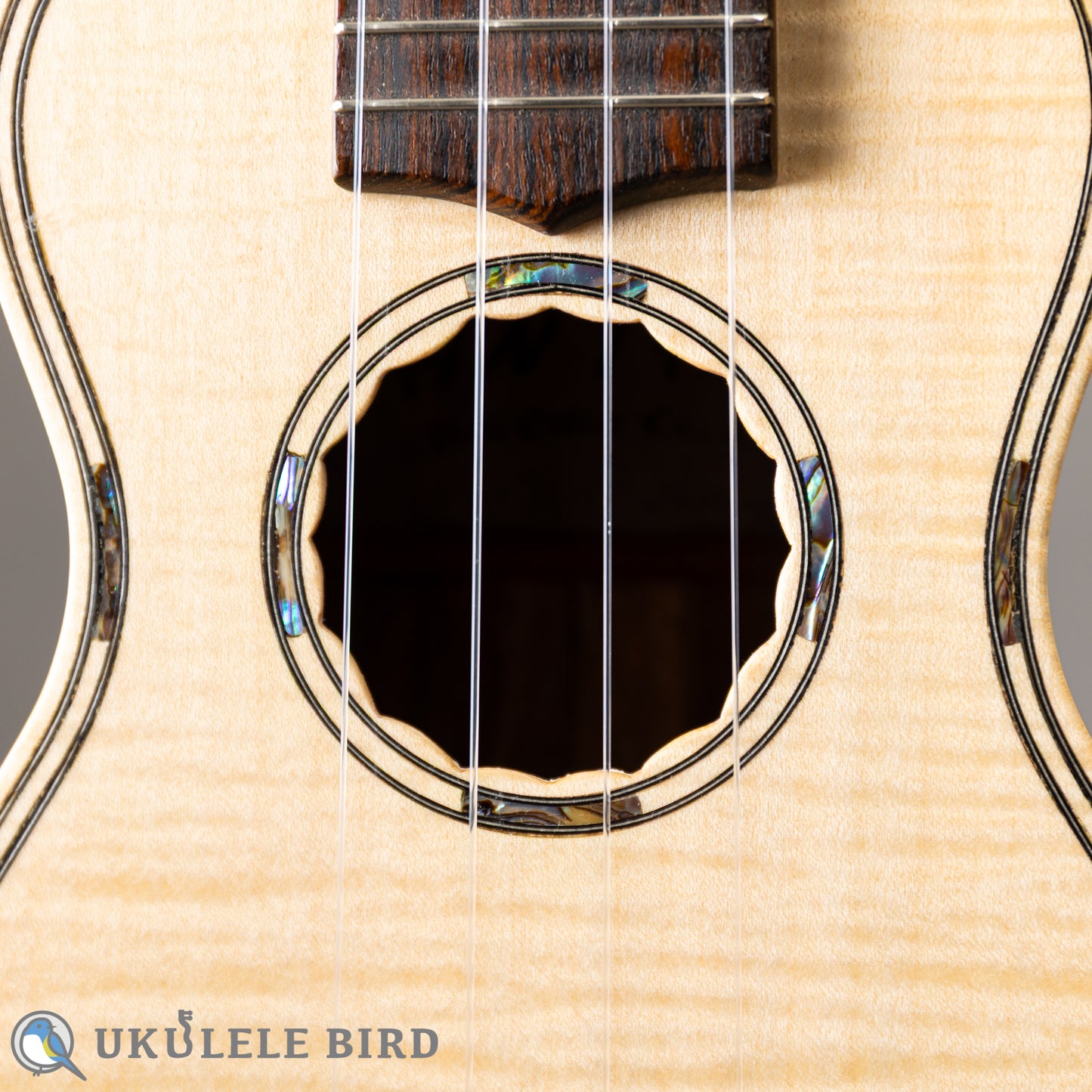 Antar Soprano Longneck Sycamore/Hawaiian Koa 2024