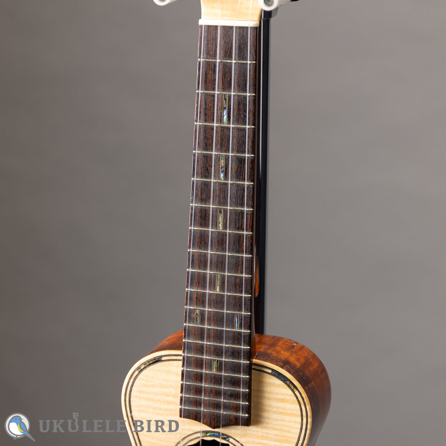 Antar Soprano Longneck Sycamore/Hawaiian Koa 2024