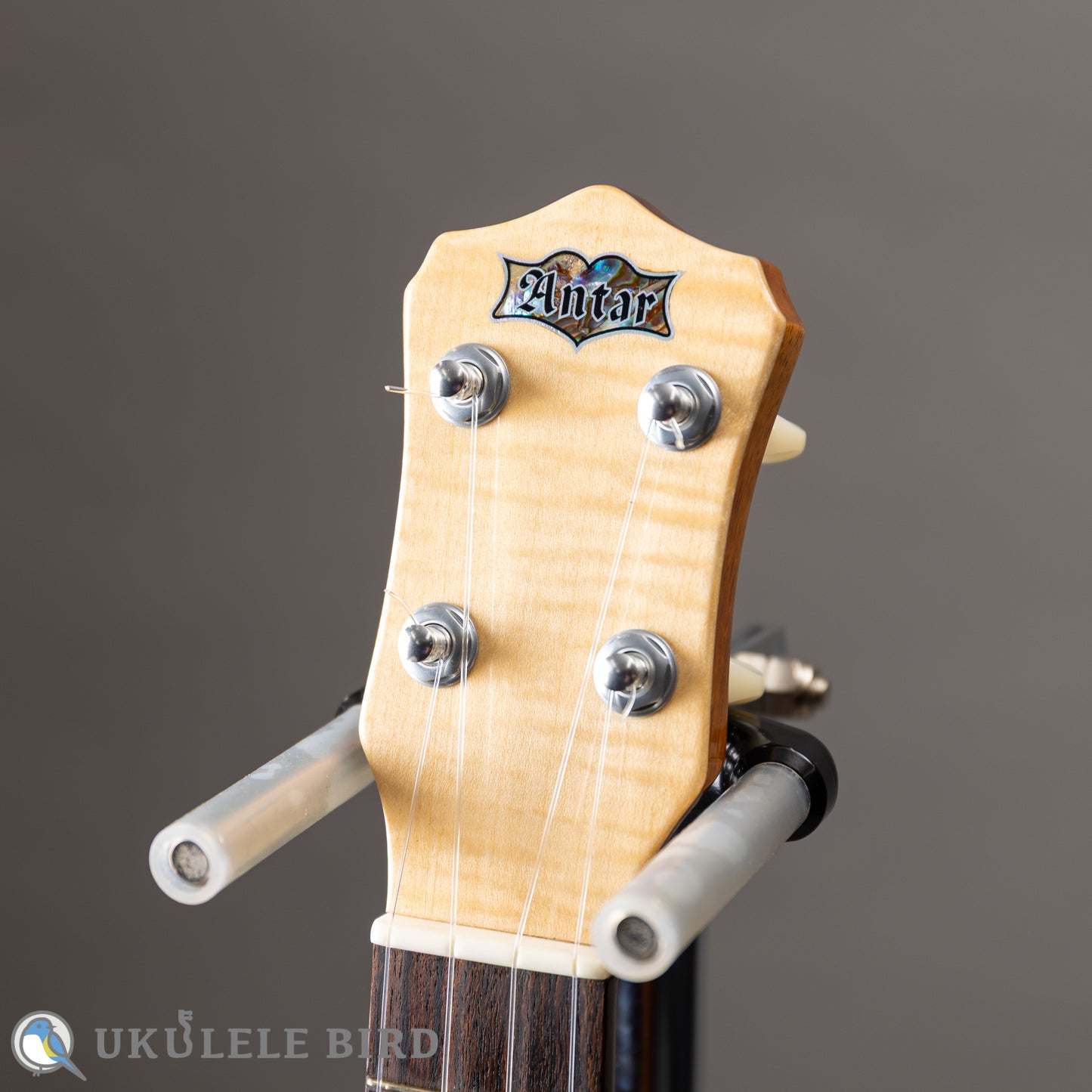 Antar Soprano Longneck Sycamore/Hawaiian Koa 2024