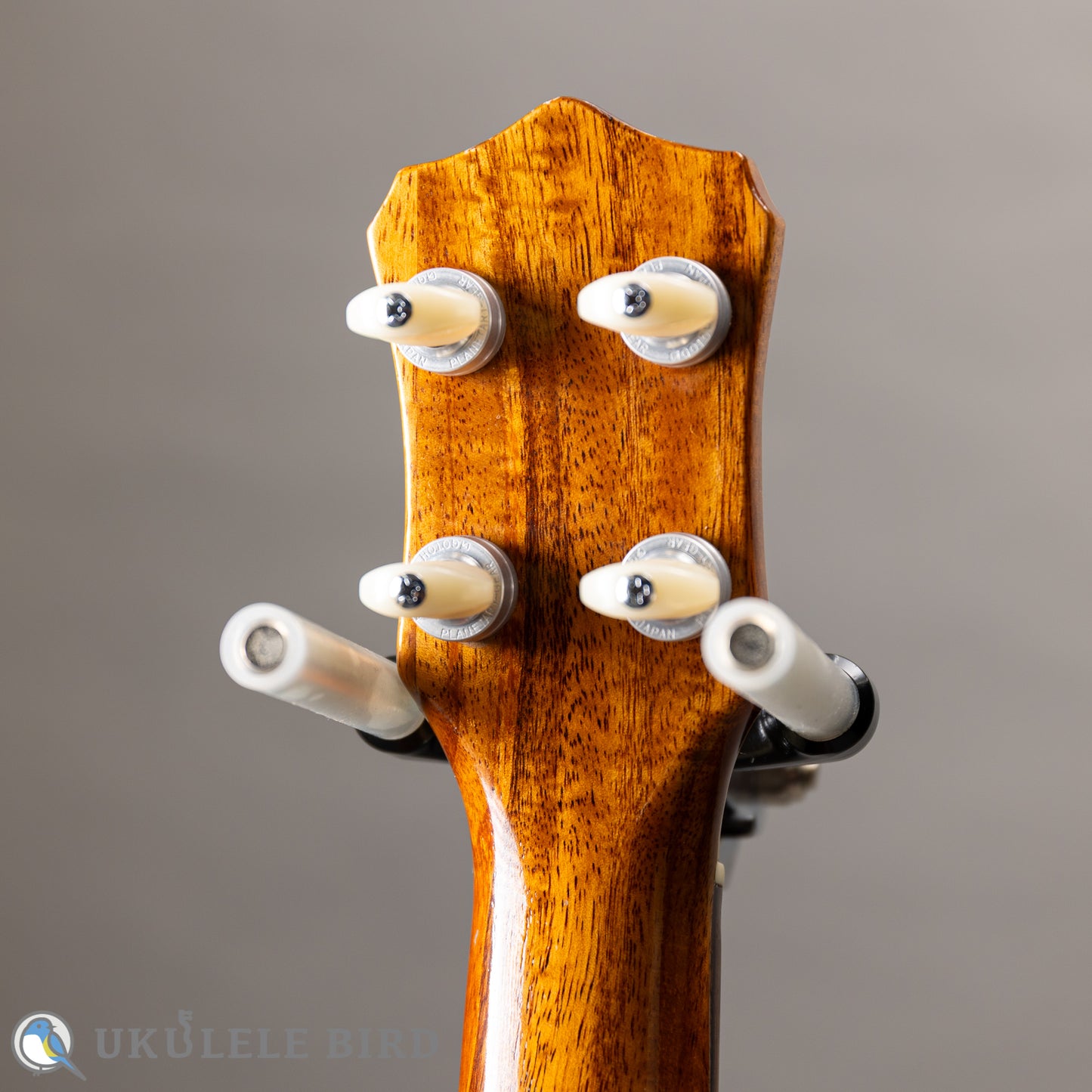 Antar Soprano Longneck Sycamore/Hawaiian Koa 2024