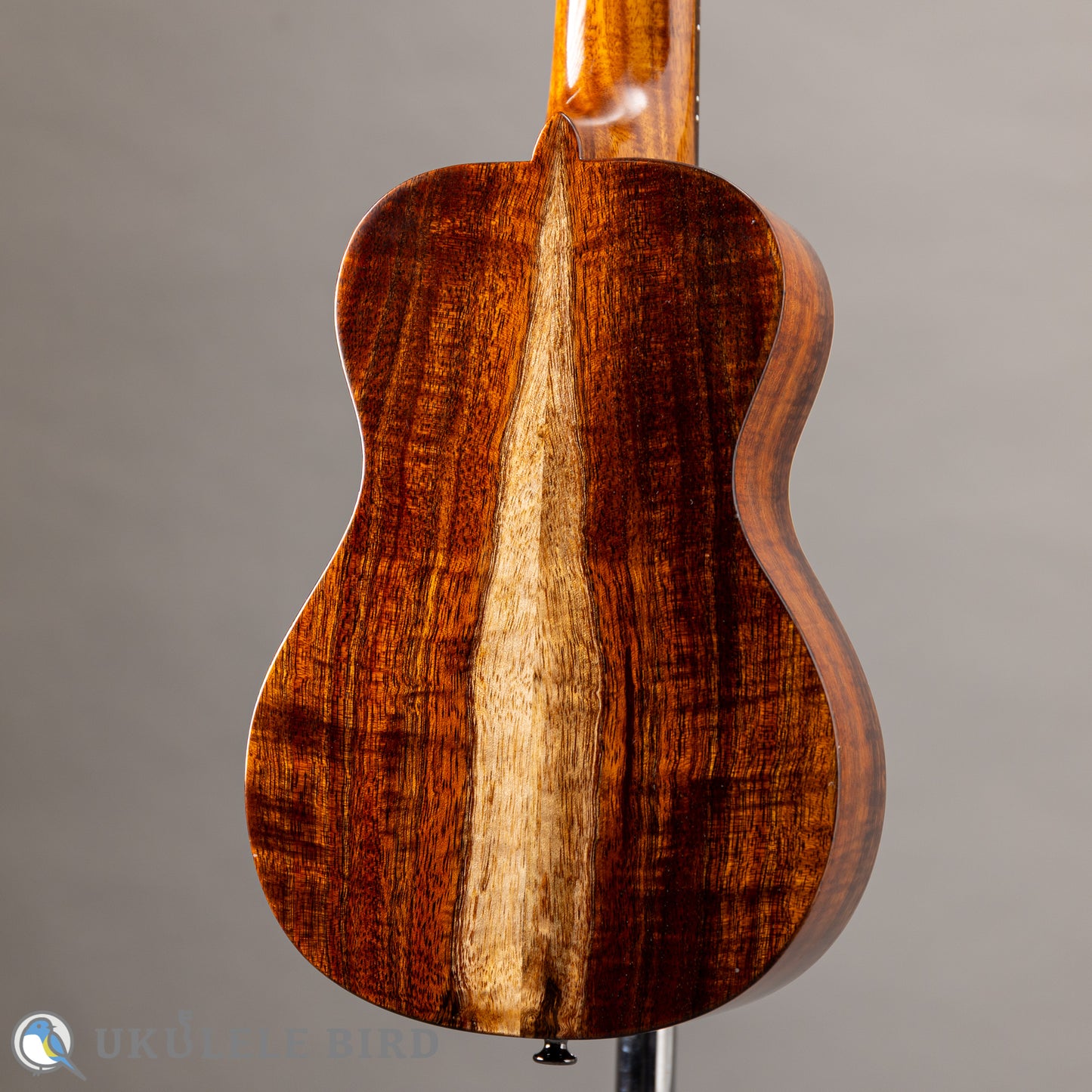 Antar Soprano Longneck Sycamore/Hawaiian Koa 2024