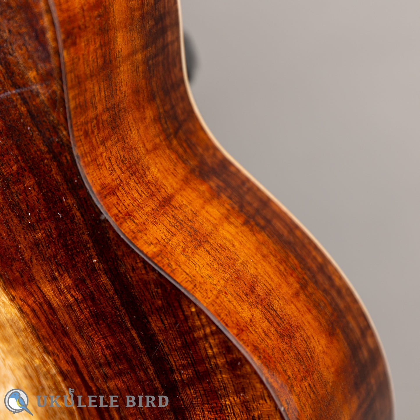 Antar Soprano Longneck Sycamore/Hawaiian Koa 2024
