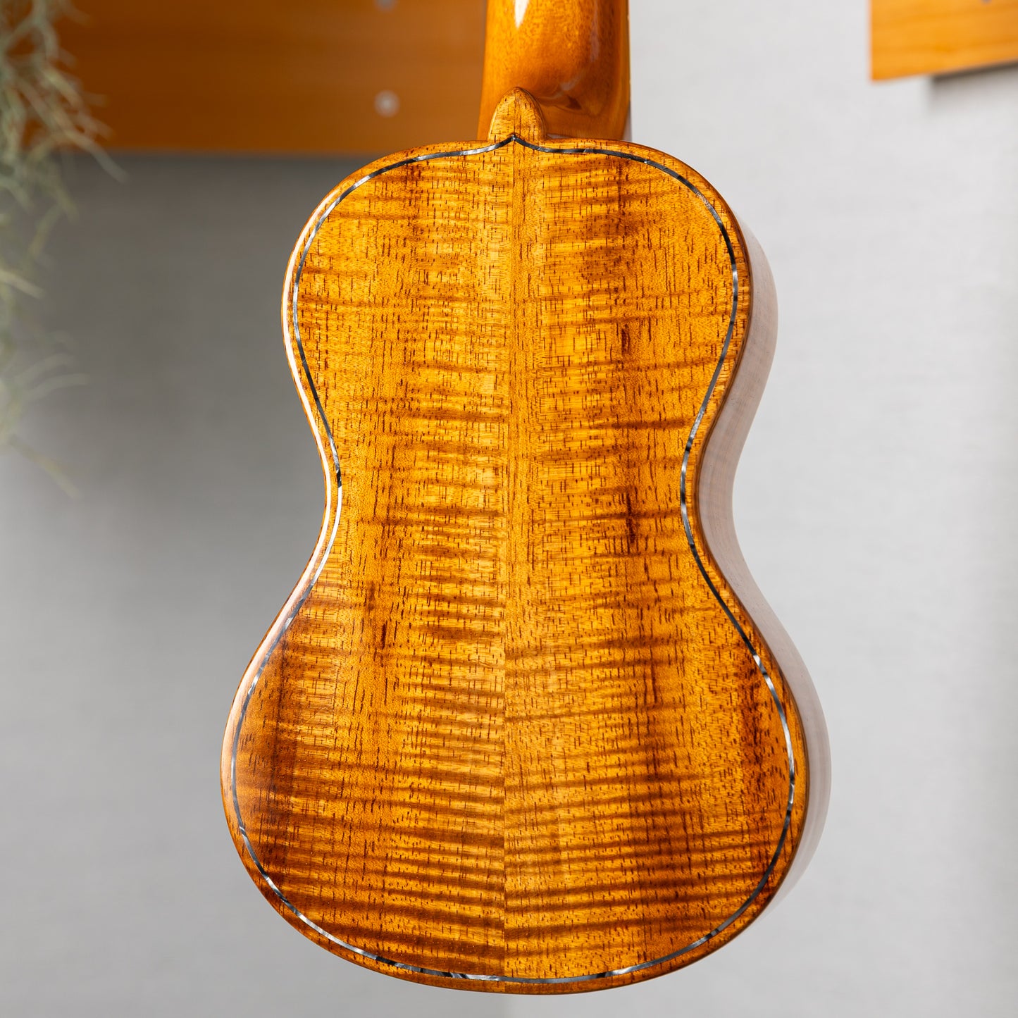Antar Soprano Vintage Hawaiian Koa