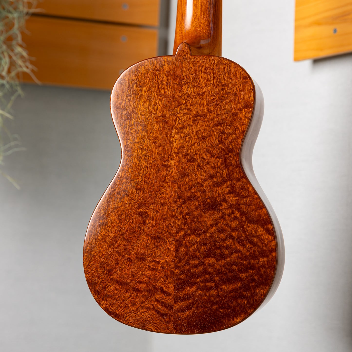 Antar Soprano Figured Sapele