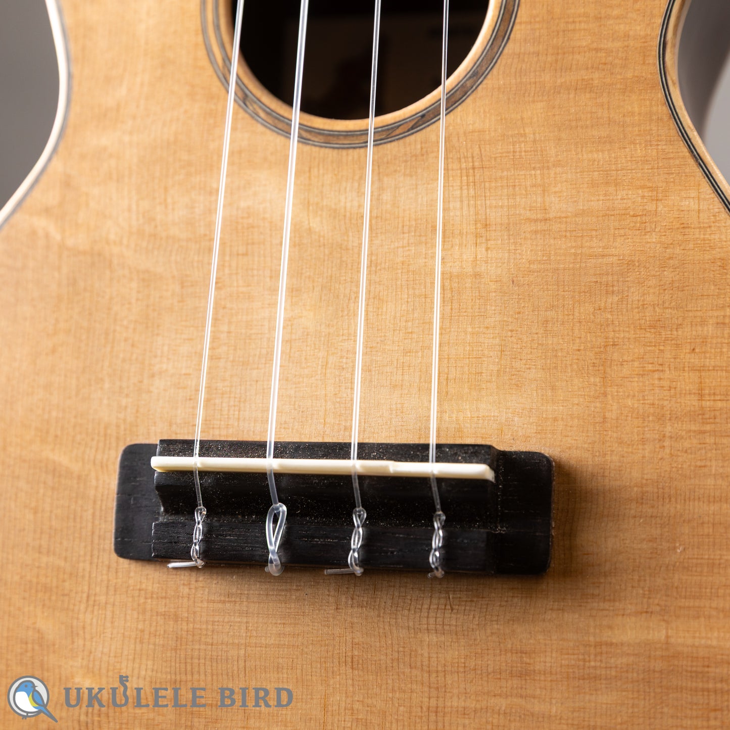Arimitsu Guitar Craft Concert Halcyon UB5