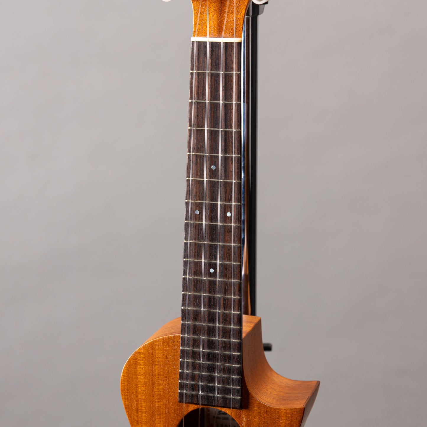 Asturias Solo ukulele Mahogany DSH 30th　2024