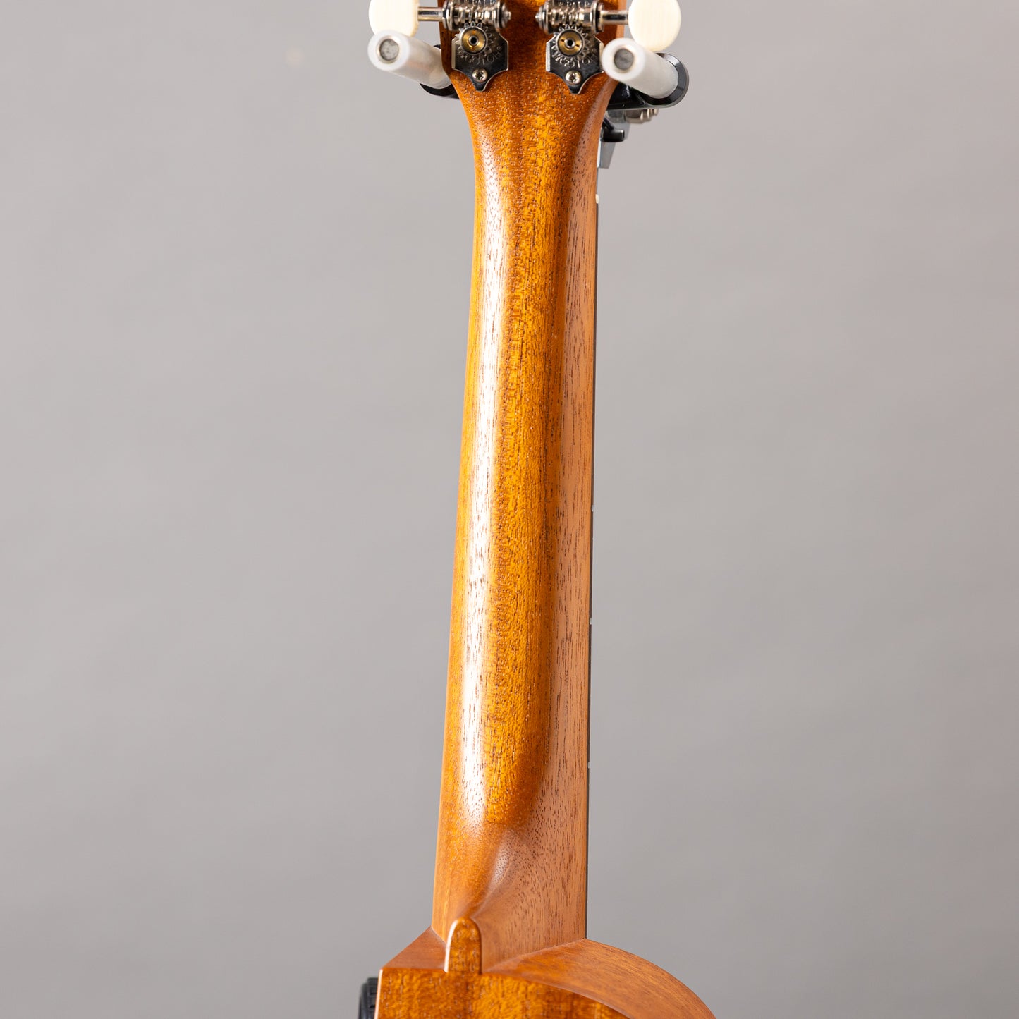 Asturias Solo ukulele Mahogany DSH 30th　2024