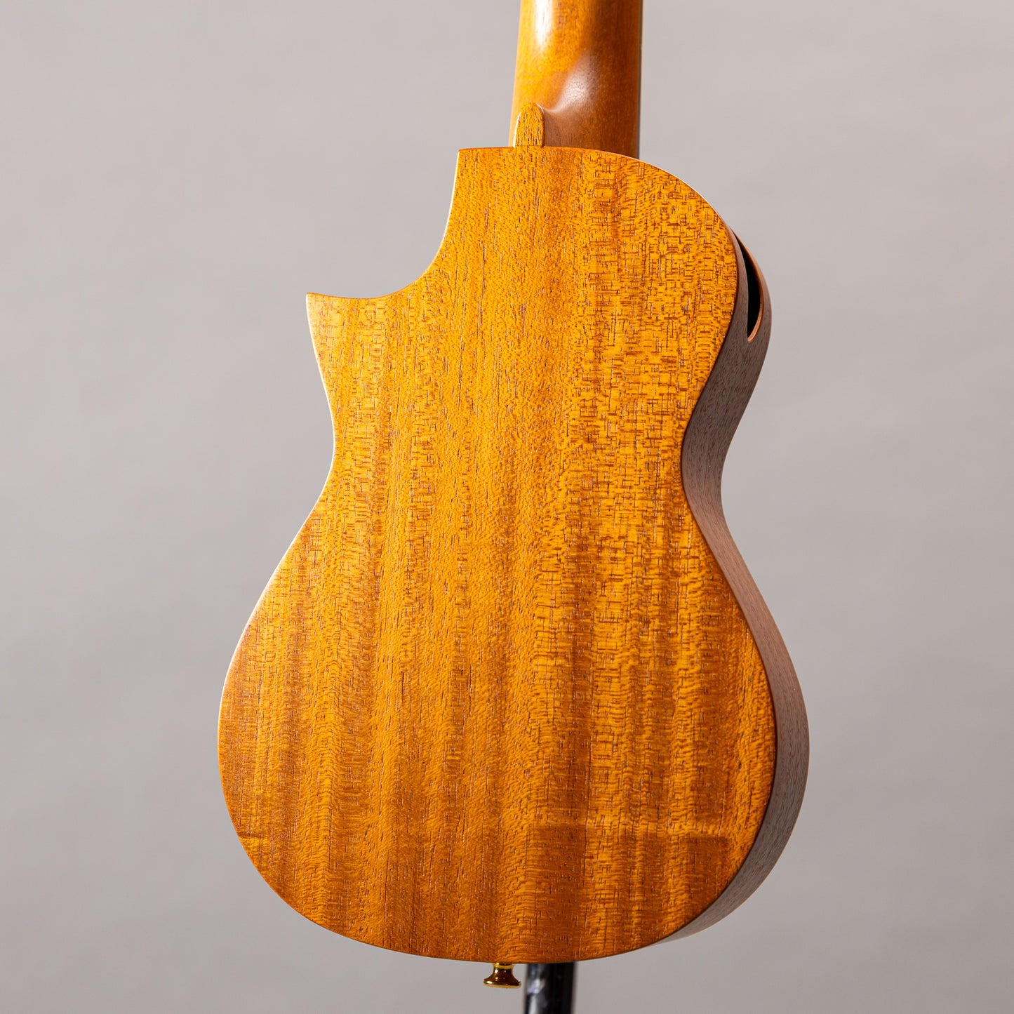 Asturias Solo ukulele Mahogany DSH 30th　2024