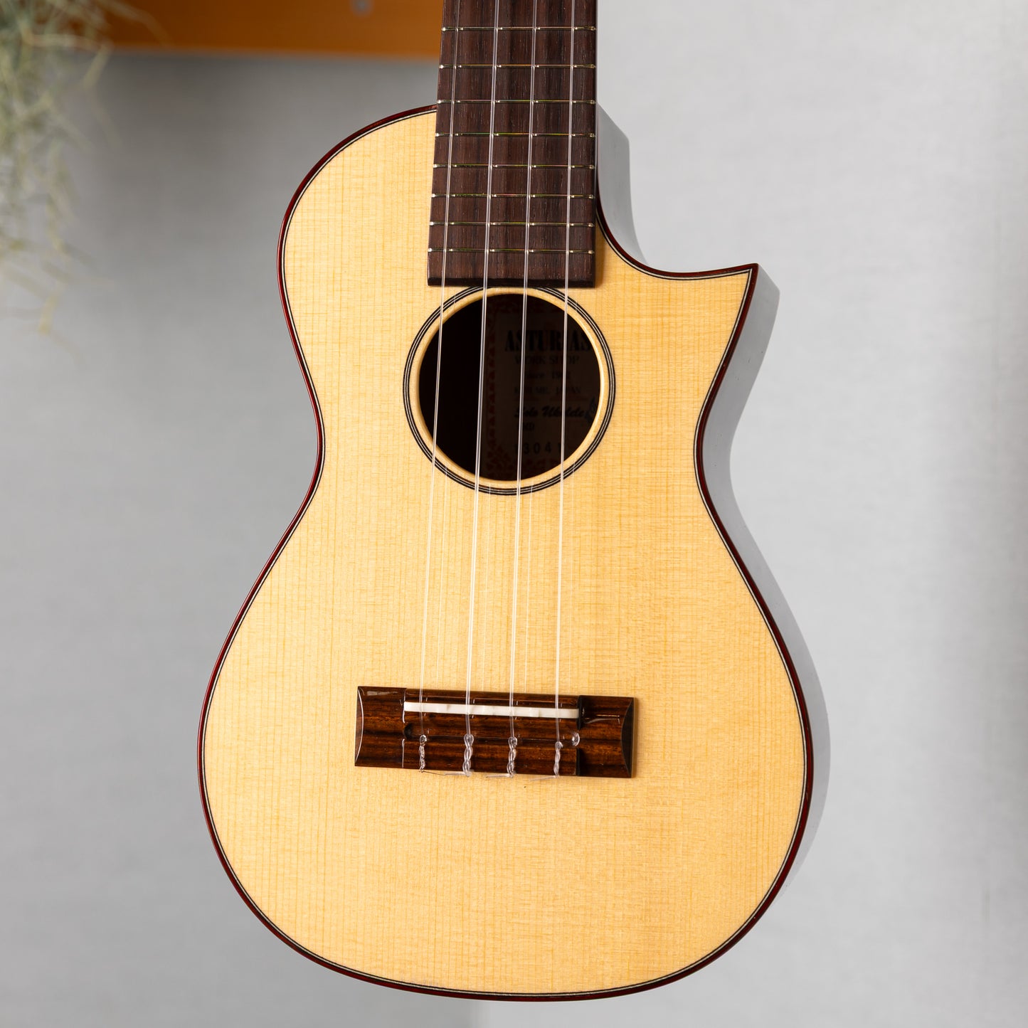 ASTURIAS Solo Ukulele SMD