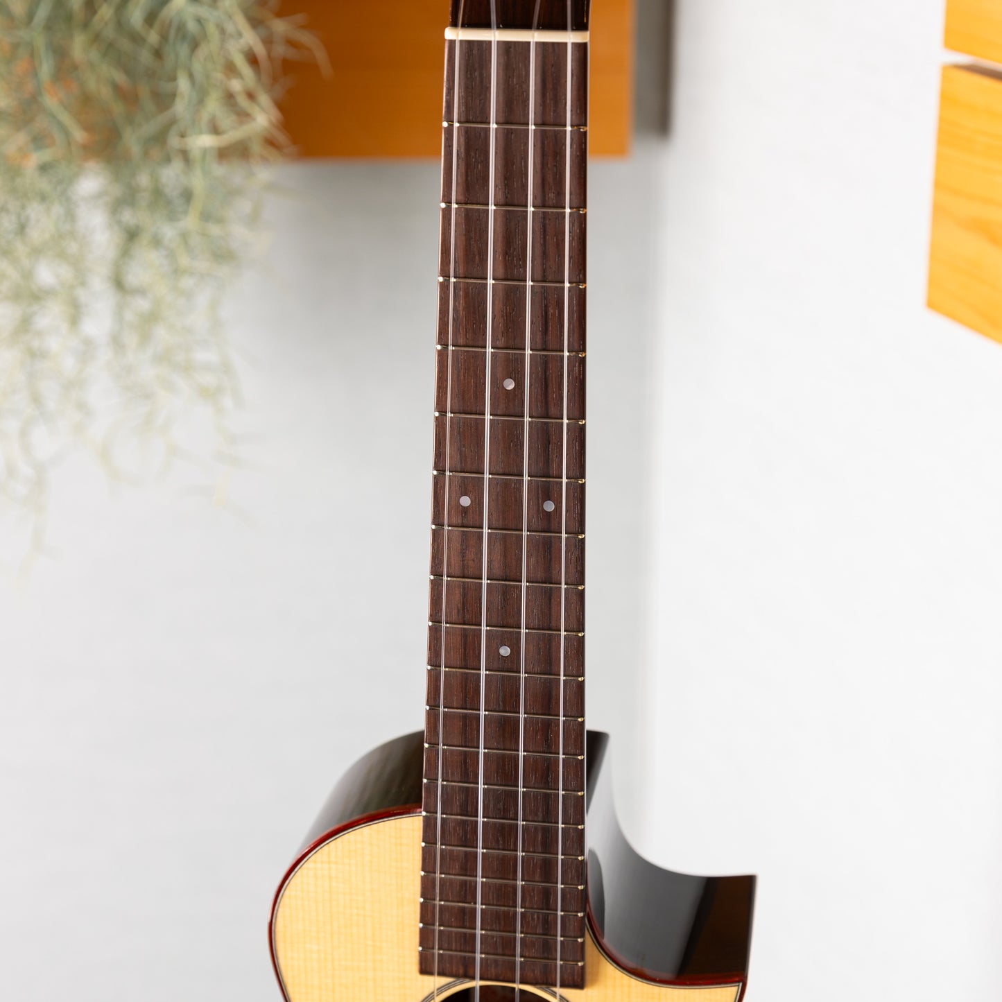 ASTURIAS Solo Ukulele SMD