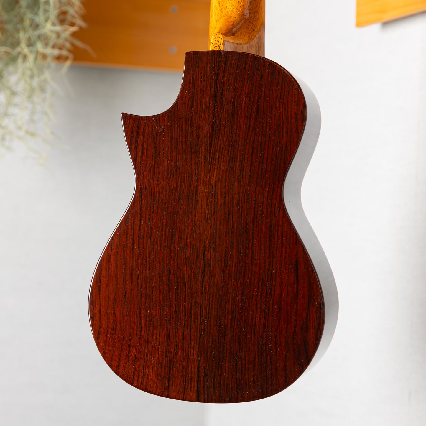 ASTURIAS Solo Ukulele SMD