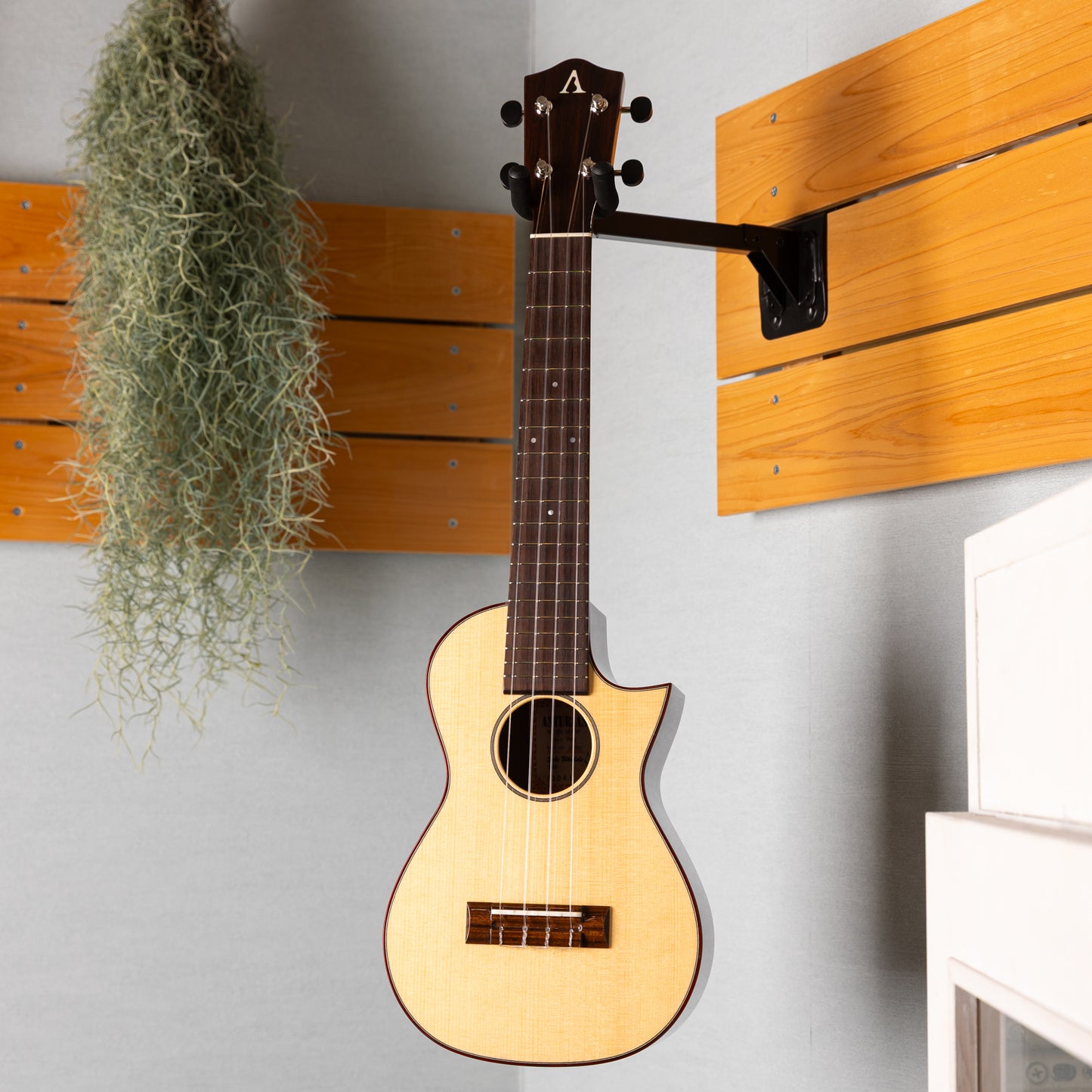 ASTURIAS Solo Ukulele SMD