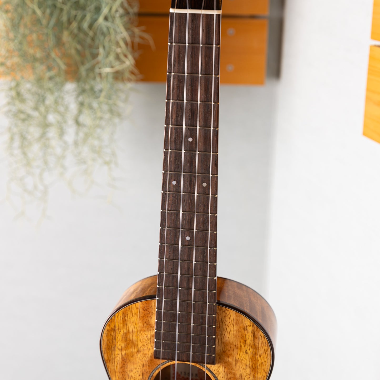 ASTURIAS Tiny Concert Mango LTD
