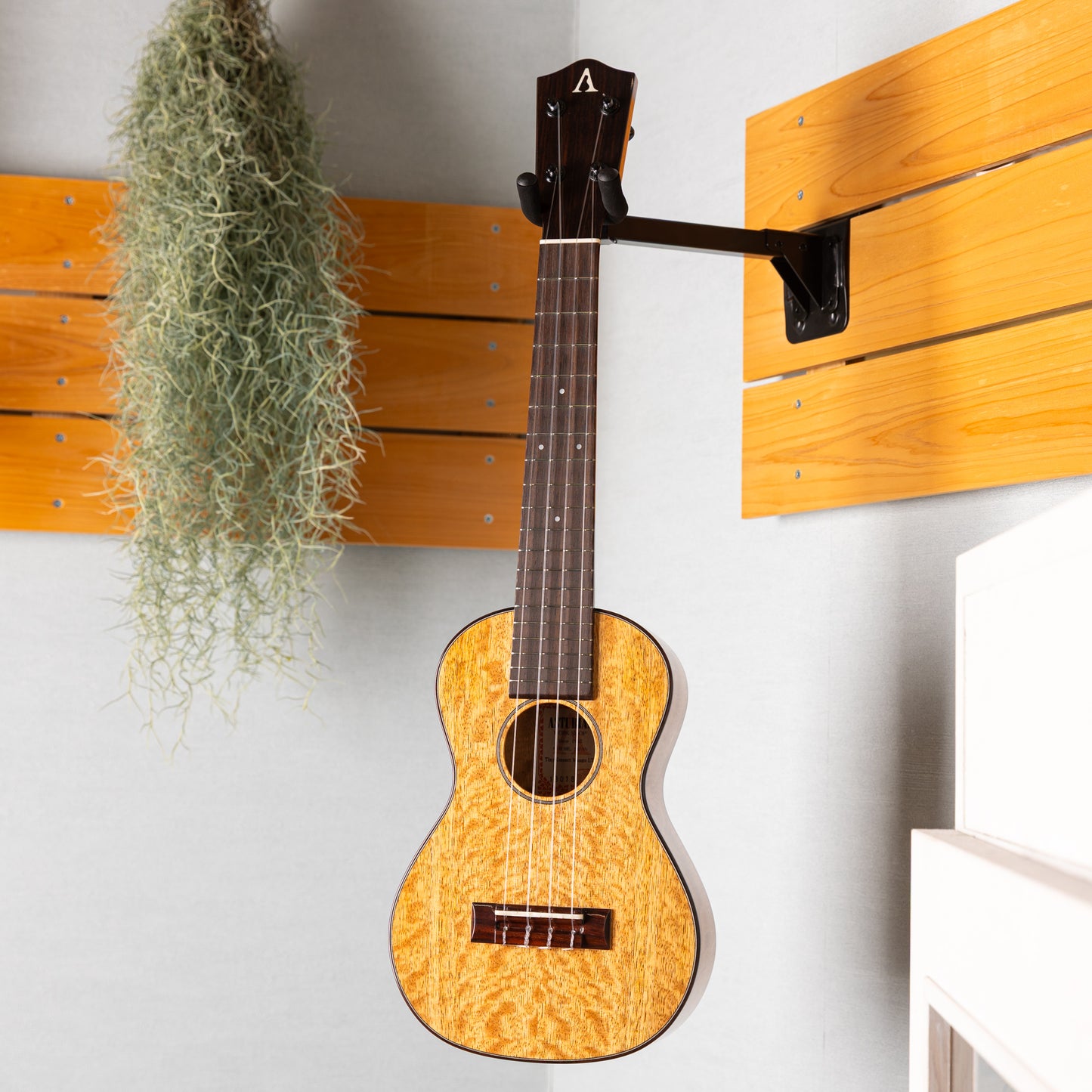 ASTURIAS Tiny Concert Mango LTD