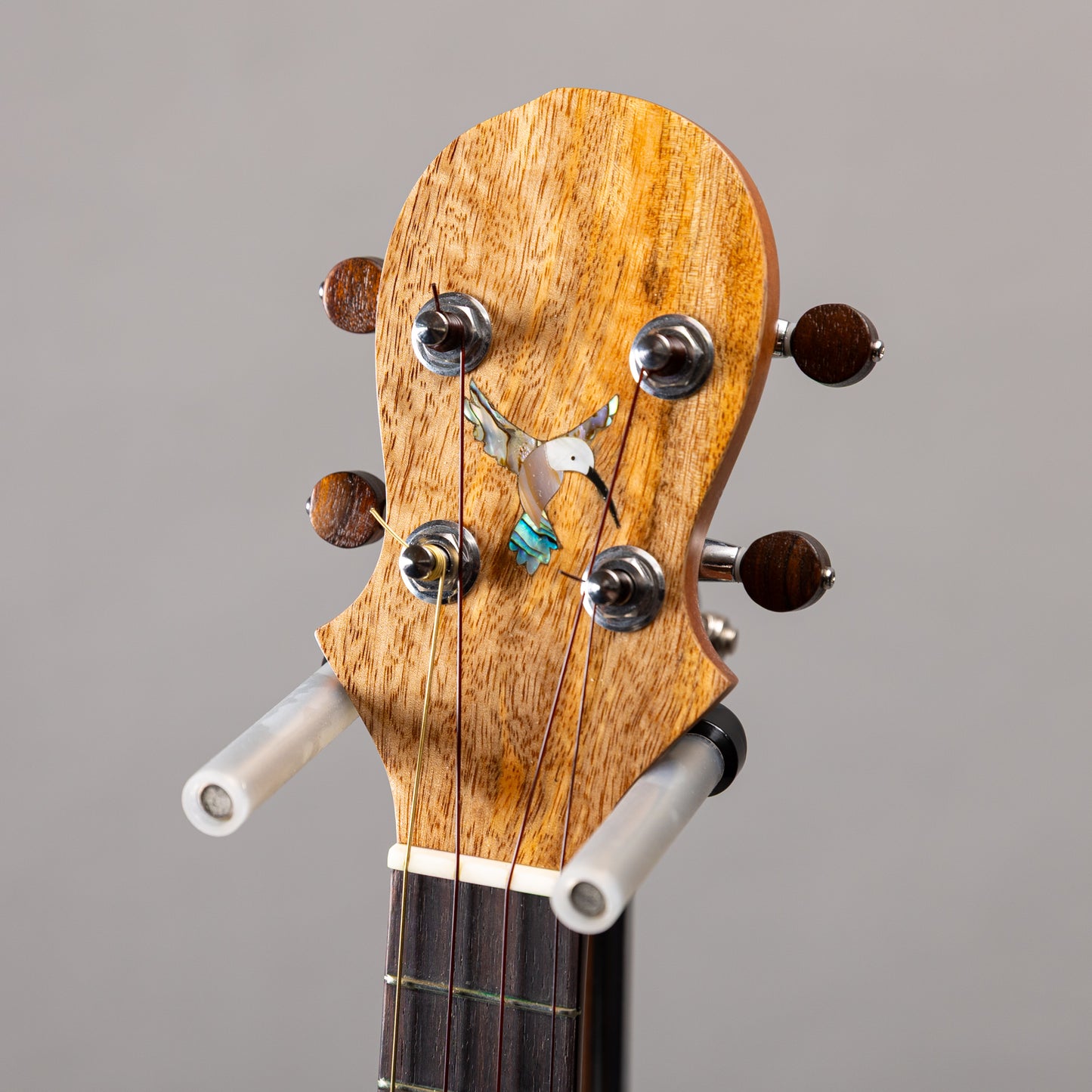 Big Island U-MO-CHB Concert Humming Bird  2024